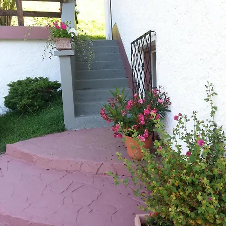 Holiday home In Ruhiger Lage Am Waldrand *